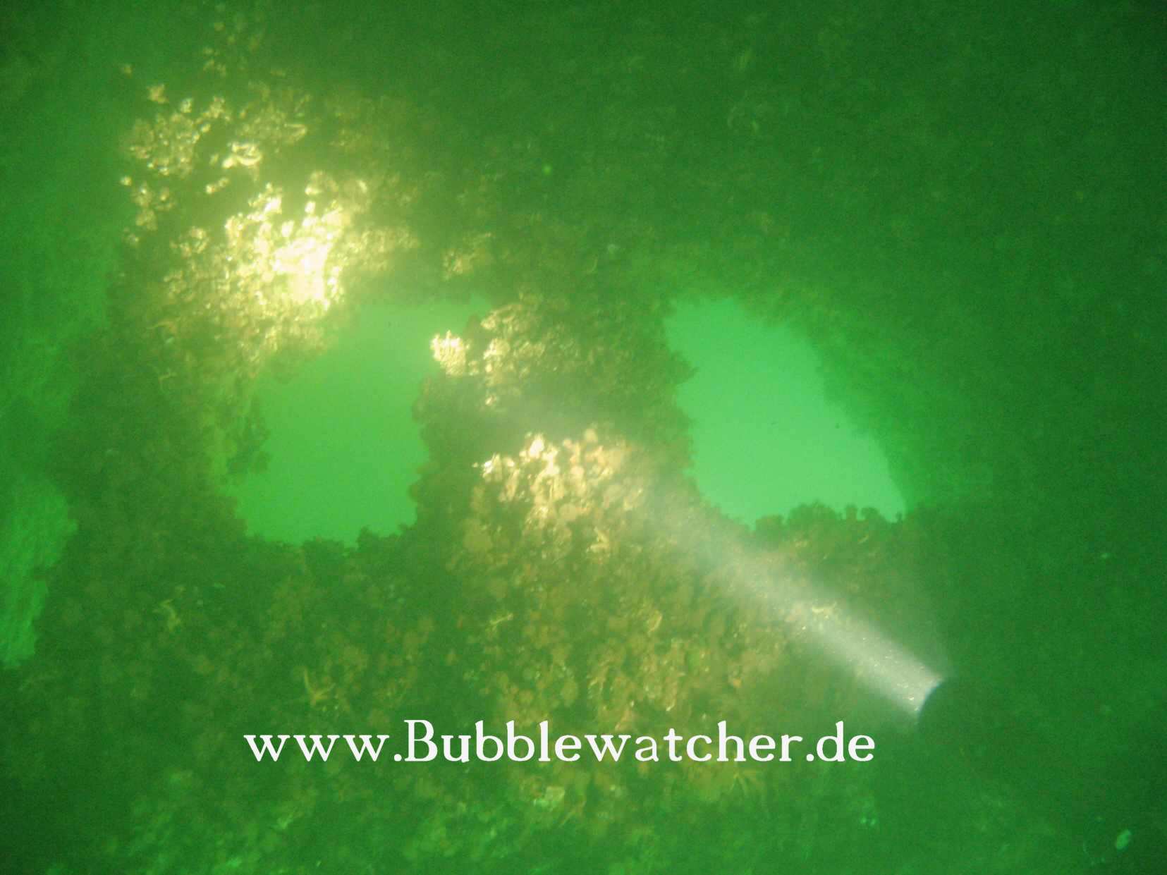 Ruderhacke